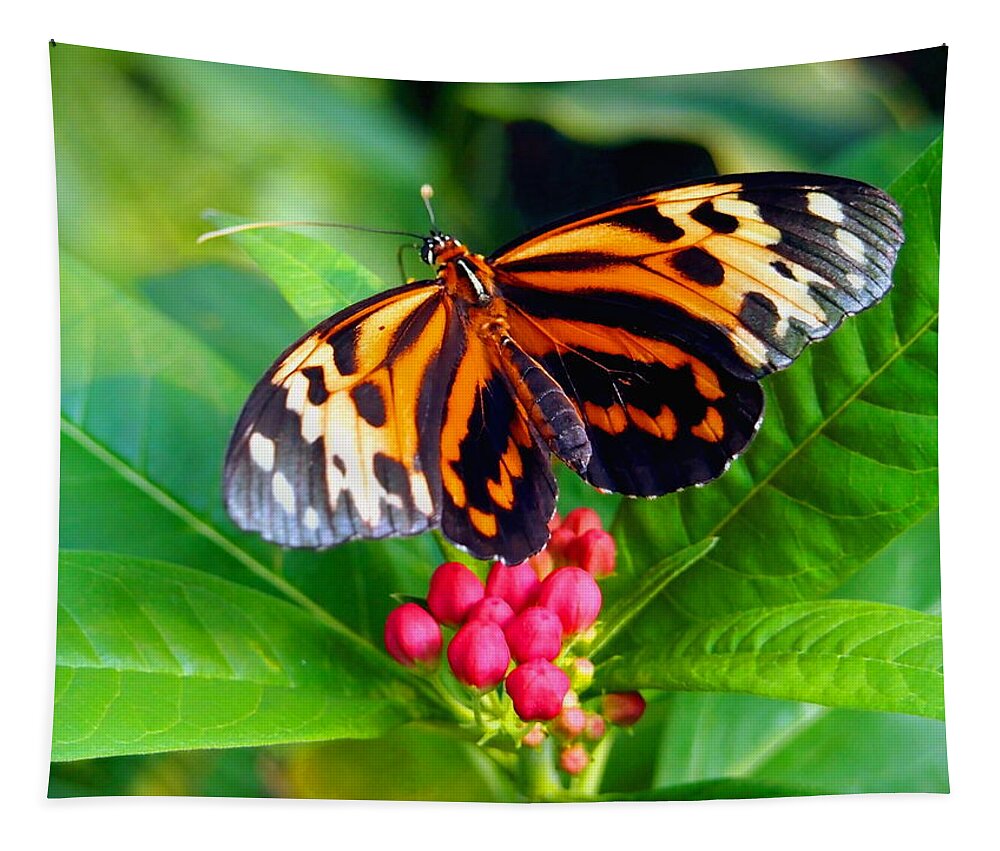 Nature Tapestry featuring the photograph Common Tiger Glassywing Butterfly by Amy McDaniel