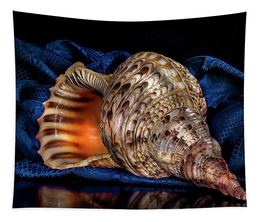 Conch Shell Tapestry featuring the photograph Conch Shell by Endre Balogh