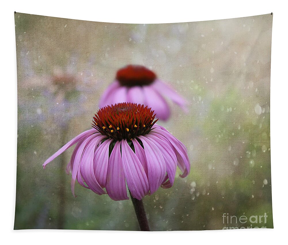 Flowers Tapestry featuring the photograph Coneflower Dream by Nina Silver