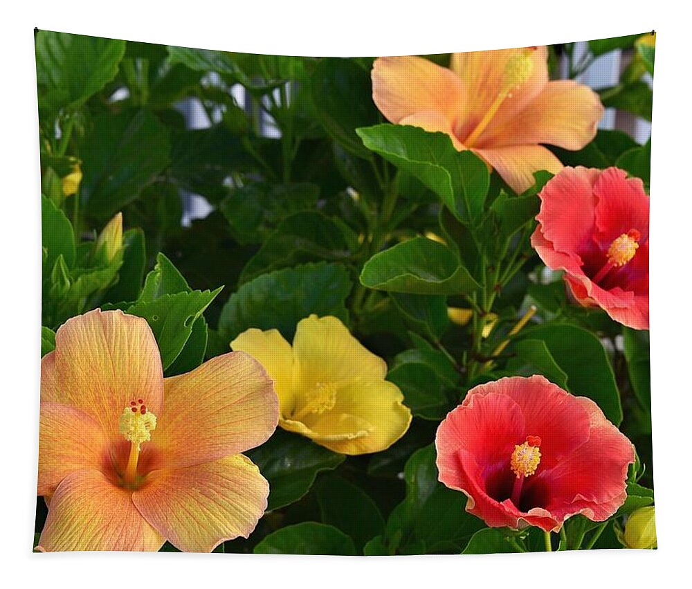 Red Flowers Tapestry featuring the photograph Contrast of Colors by Kim Bemis