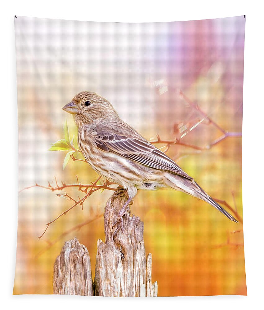 Finch Tapestry featuring the photograph Cool Autumn Finch by Bill and Linda Tiepelman