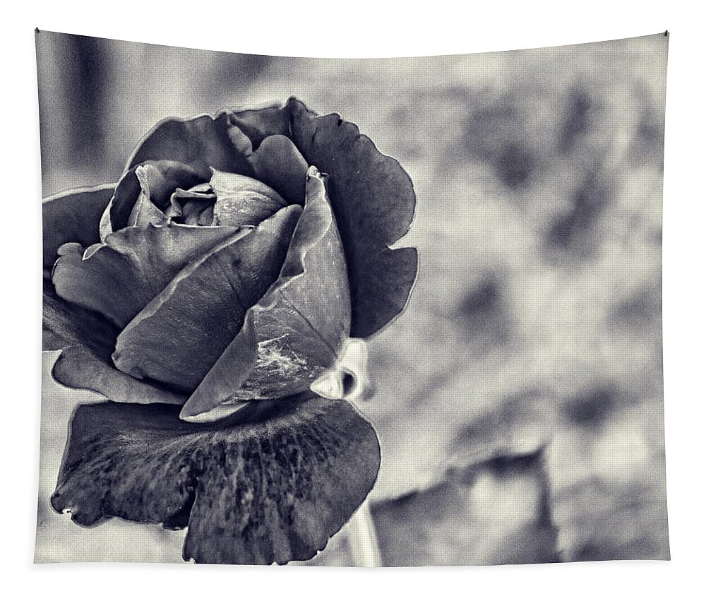 Black Rose Tapestry featuring the photograph Cool Black Rose by Sharon Popek