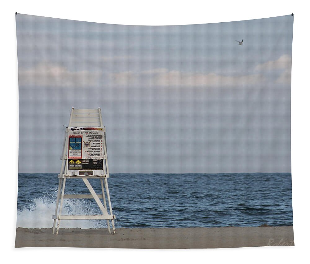 Blue Sky Tapestry featuring the photograph Cools Sands by Robert Banach