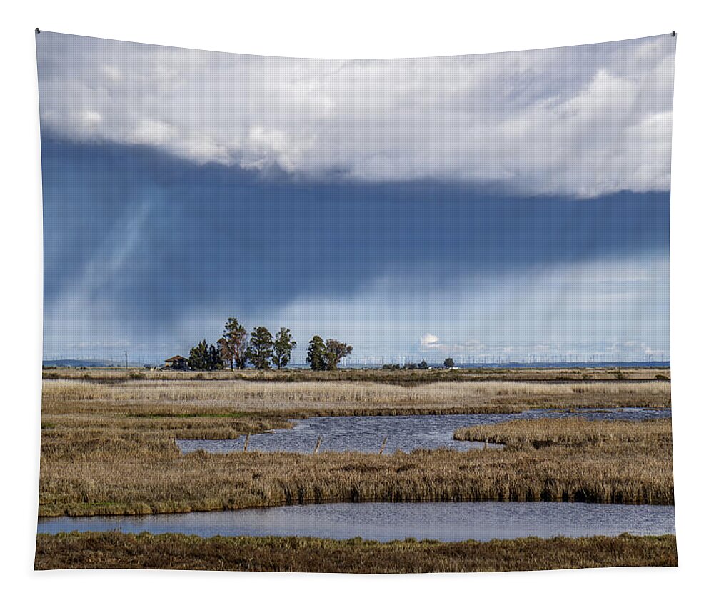 Rain Tapestry featuring the photograph Cordellia Rain Storm by Bruce Bottomley