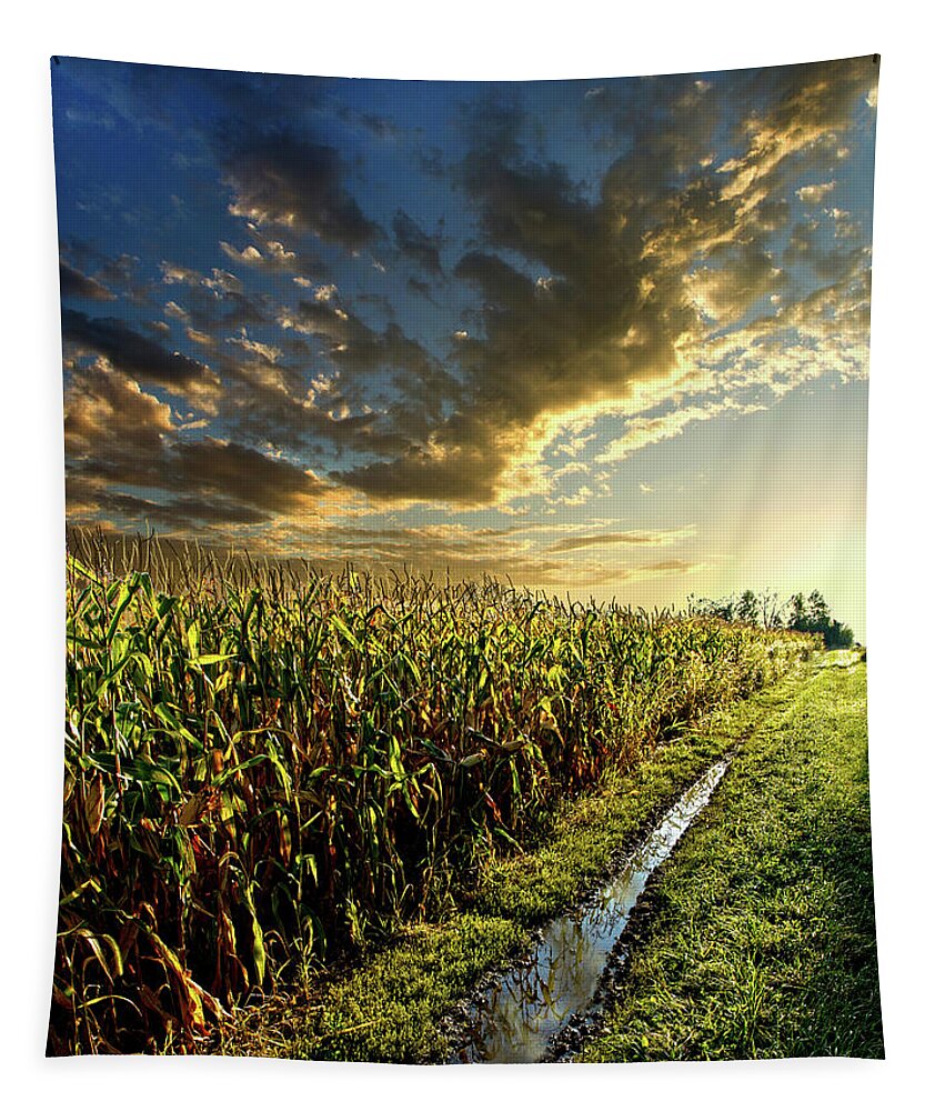 Corn Tapestry featuring the photograph Corn Road by Phil Koch