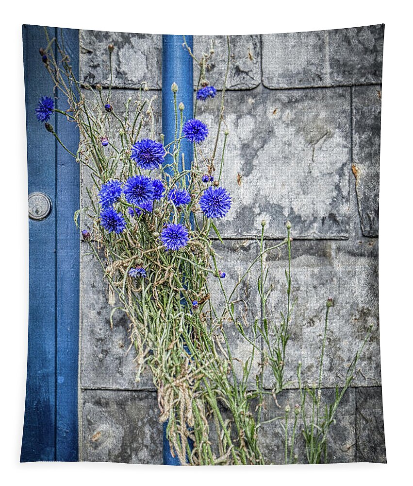 Cornflower Tapestry featuring the photograph Cornflowers by Nigel R Bell