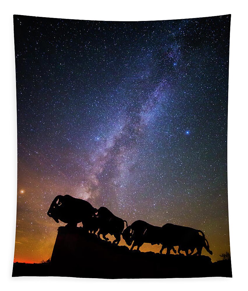 Caprock Canyons State Park Tapestry featuring the photograph Cosmic Caprock Bison by Stephen Stookey