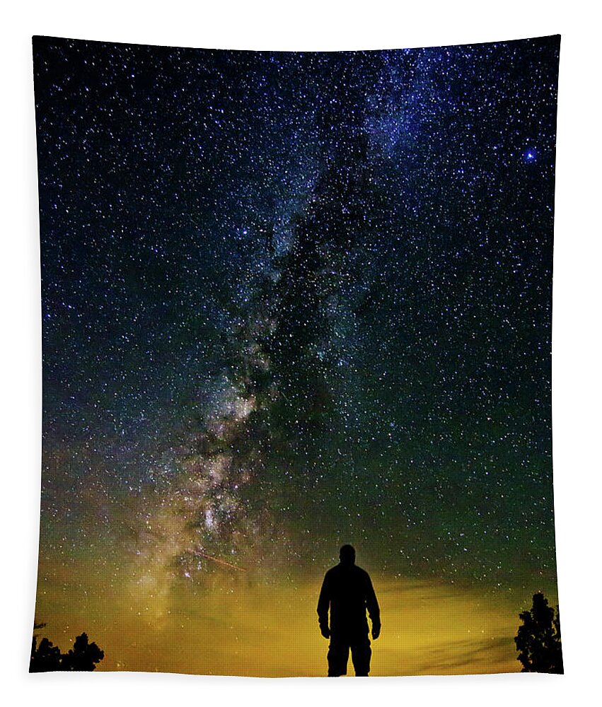 Milky Way Tapestry featuring the photograph Cosmic Contemplation by Eilish Palmer