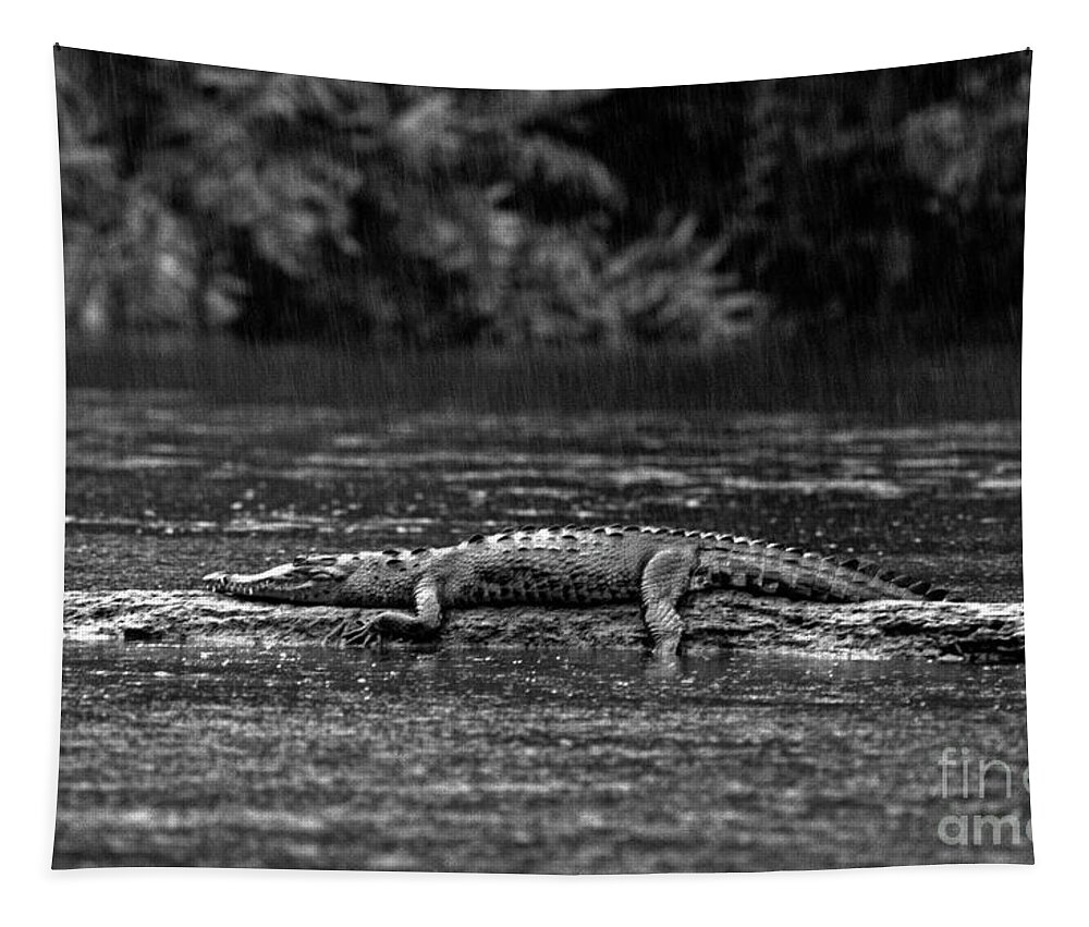 Black And White Tapestry featuring the photograph Costa_rica_25-17 by Craig Lovell