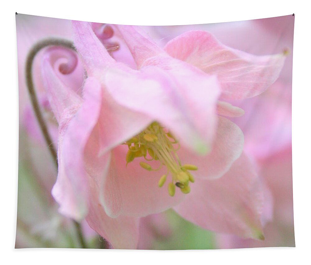 Flower Tapestry featuring the photograph Cotton Candy by Julie Lueders 