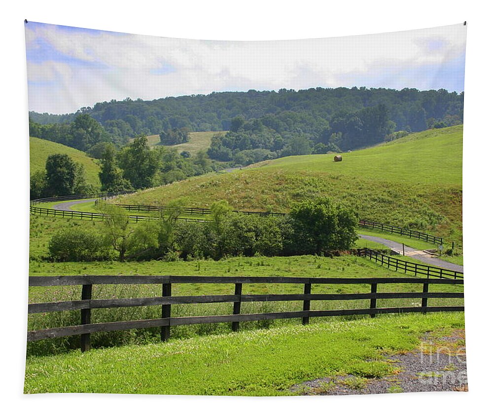 Country Tapestry featuring the photograph Country Lane by Julie Lueders 