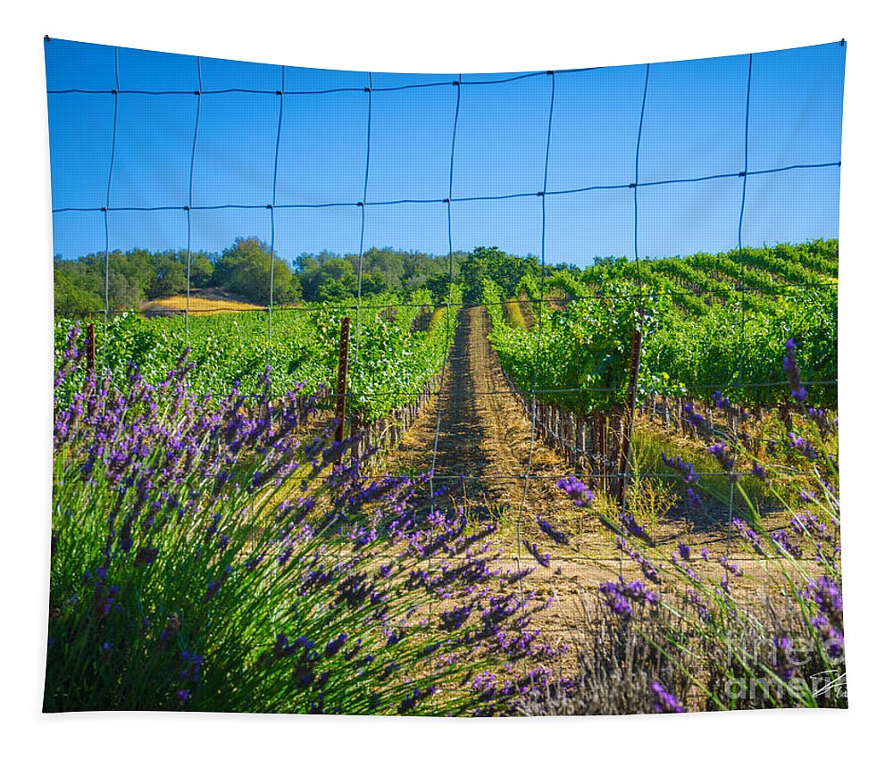 Flowers Tapestry featuring the photograph Country Lavender V by Shari Warren