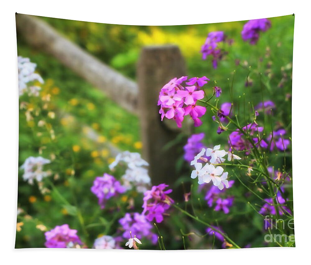 Gardening Tapestry featuring the photograph Country Phlox by Elizabeth Dow