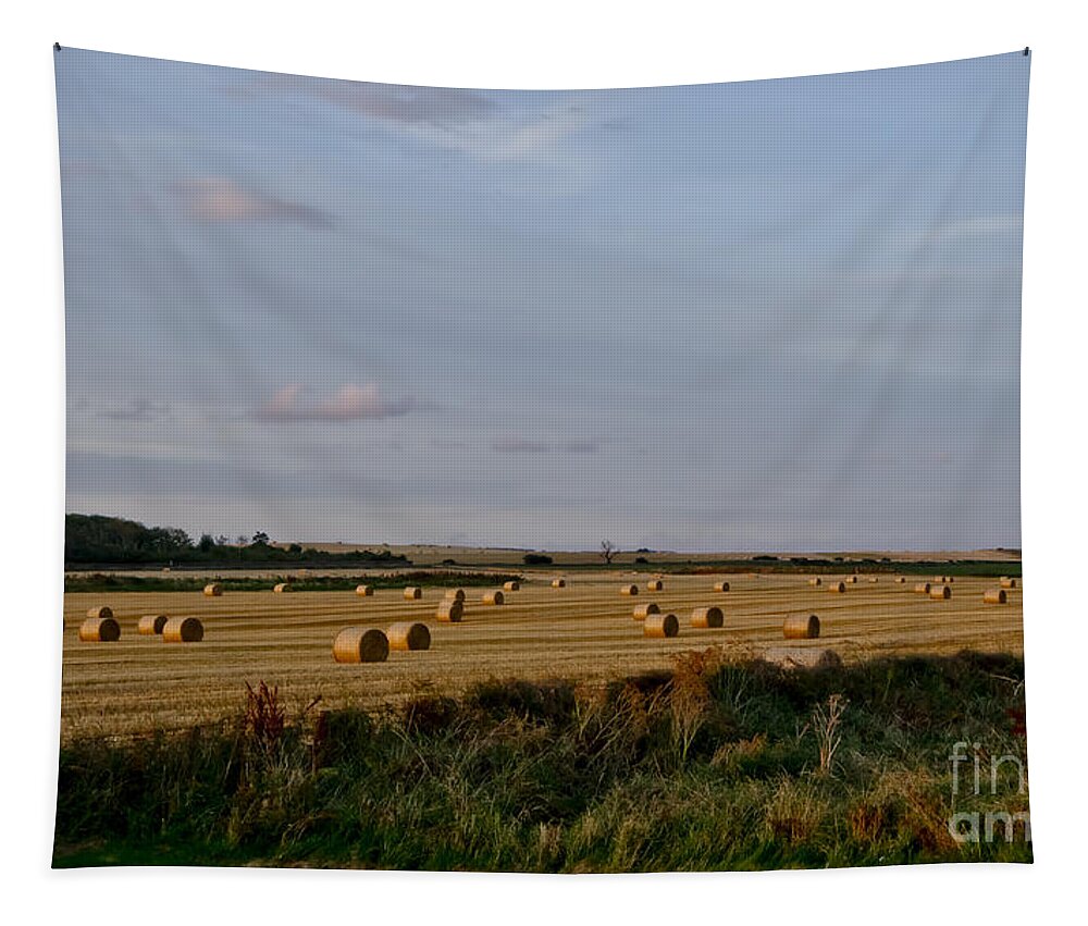 Countryside Landscape Tapestry featuring the photograph Countryside. Autumn. by Elena Perelman