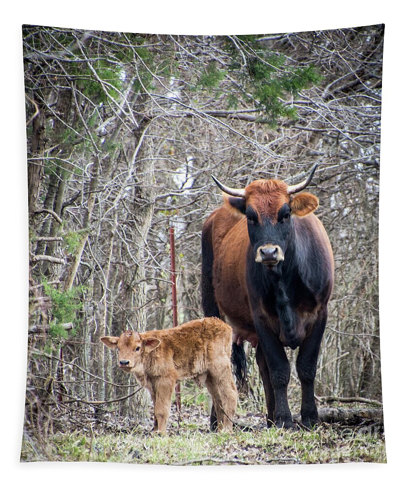 Cow Tapestry featuring the photograph Cow and Calf by Cheryl McClure