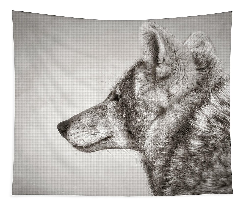 Coyote Tapestry featuring the photograph Coyote Profile by Elaine Malott