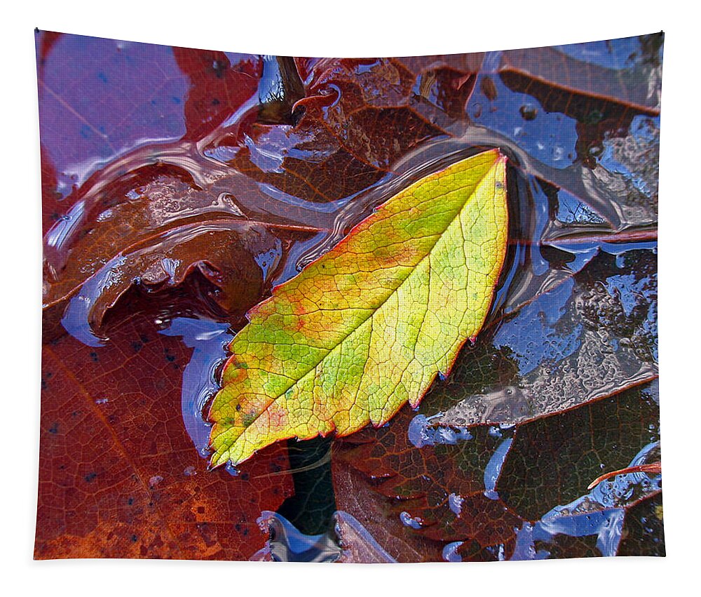 Tree Tapestry featuring the photograph Cradled Leaf by Juergen Roth