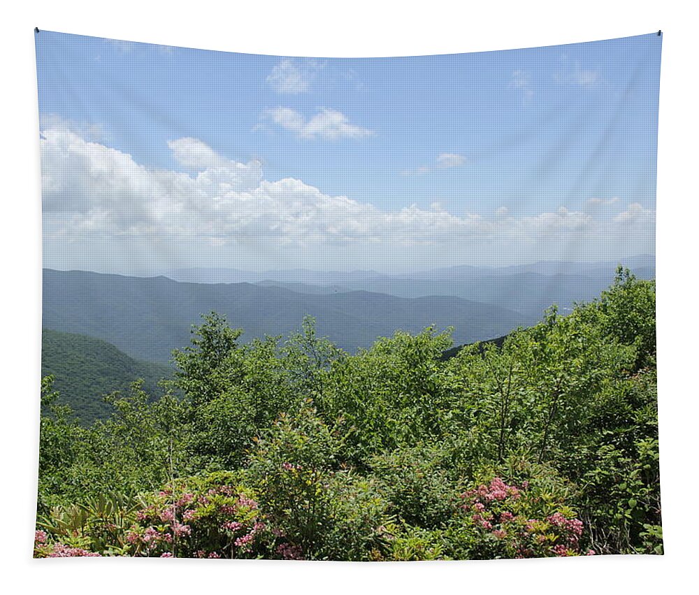 Long Range Views Tapestry featuring the photograph Craggy View by Allen Nice-Webb