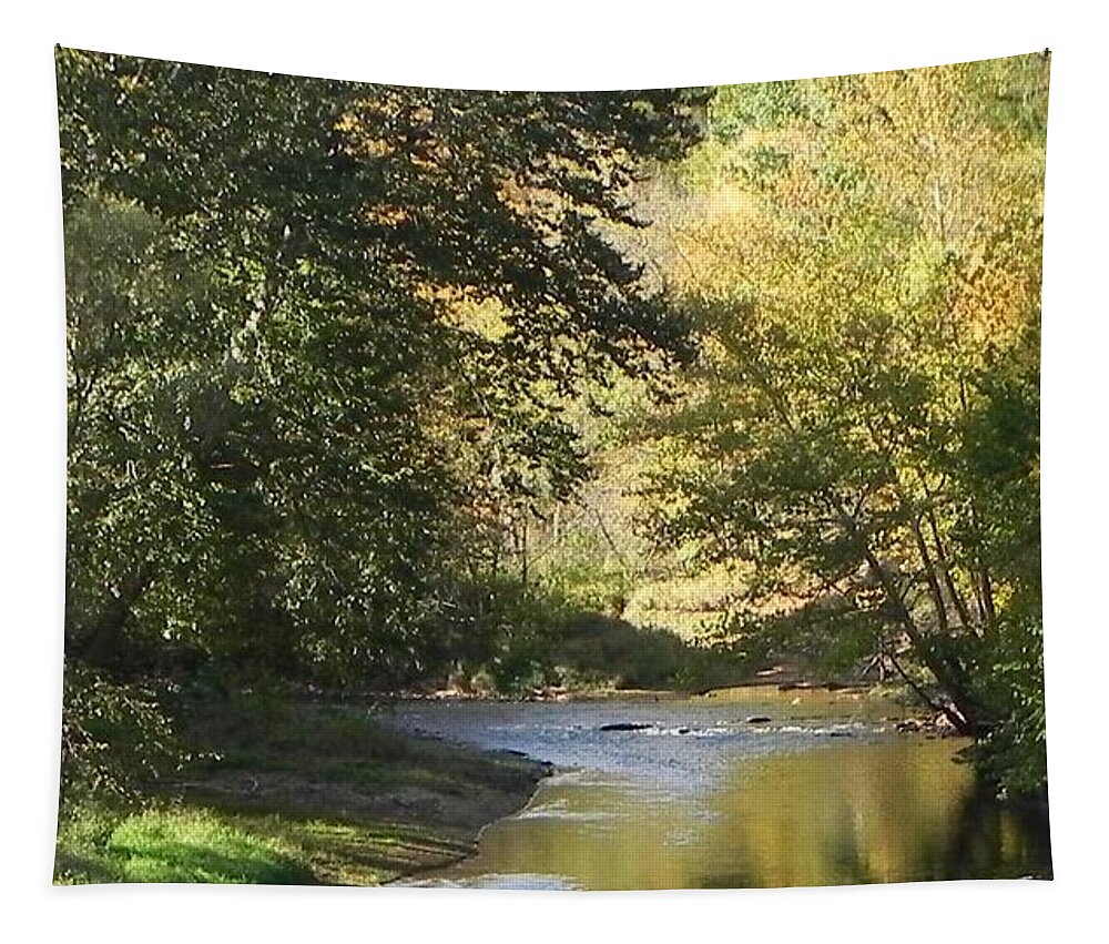  Tapestry featuring the photograph Creekside by John Parry