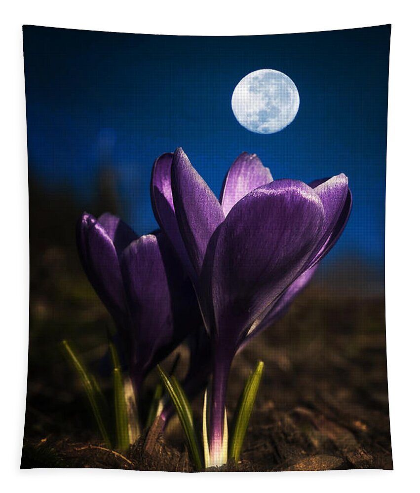 Crocus Tapestry featuring the photograph Crocus Moon by Robert Potts