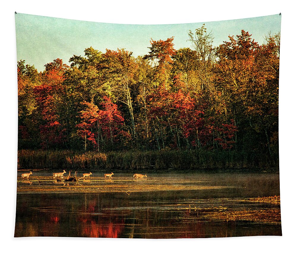 Cindi Ressler Tapestry featuring the photograph Crossing The Lake by Cindi Ressler
