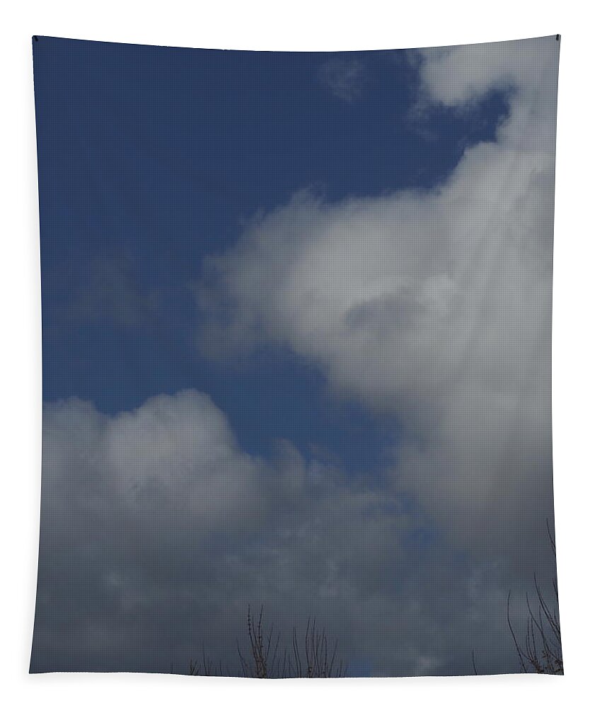 Clouds Tapestry featuring the photograph Cumulus 3 by Richard Thomas