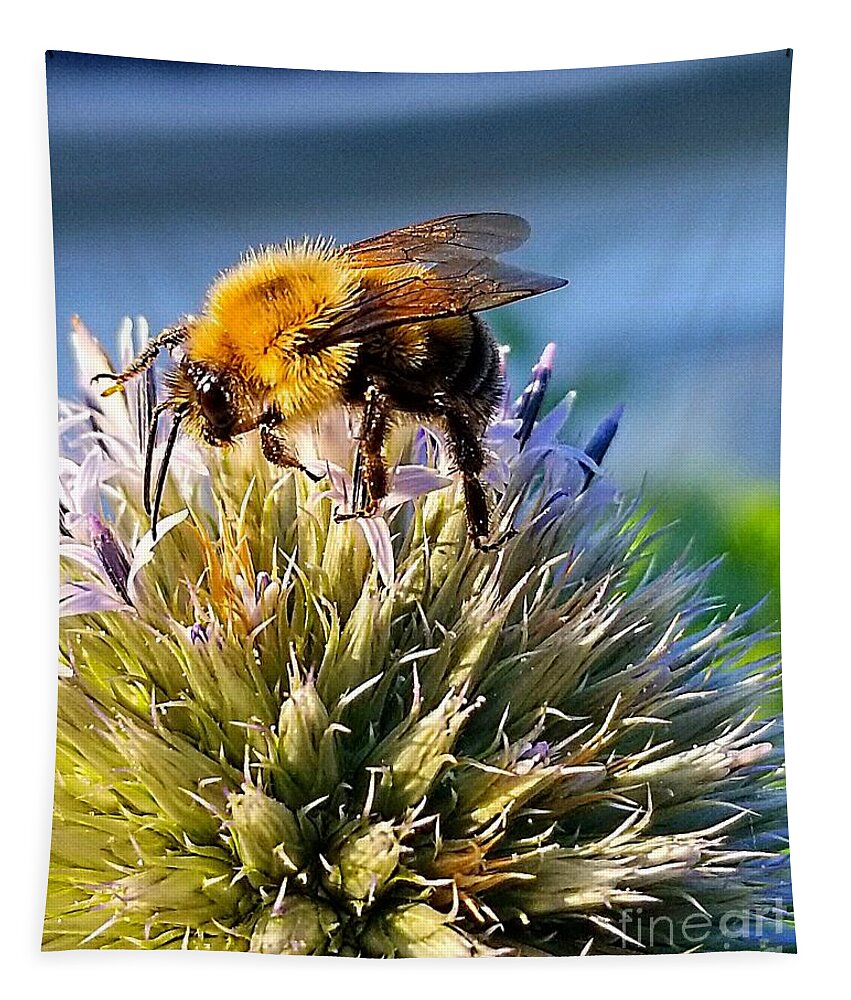 Sea Tapestry featuring the photograph Curious Bee by Michael Graham