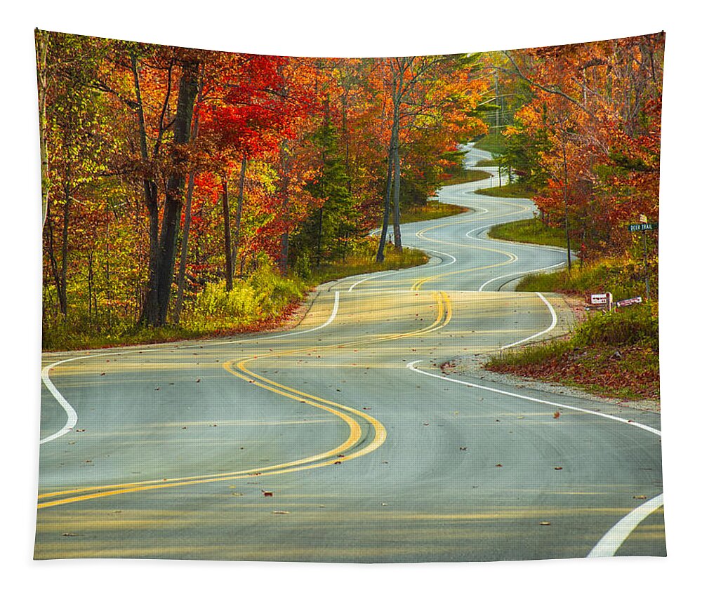Fall Tapestry featuring the photograph Curvaceous by Bill Pevlor
