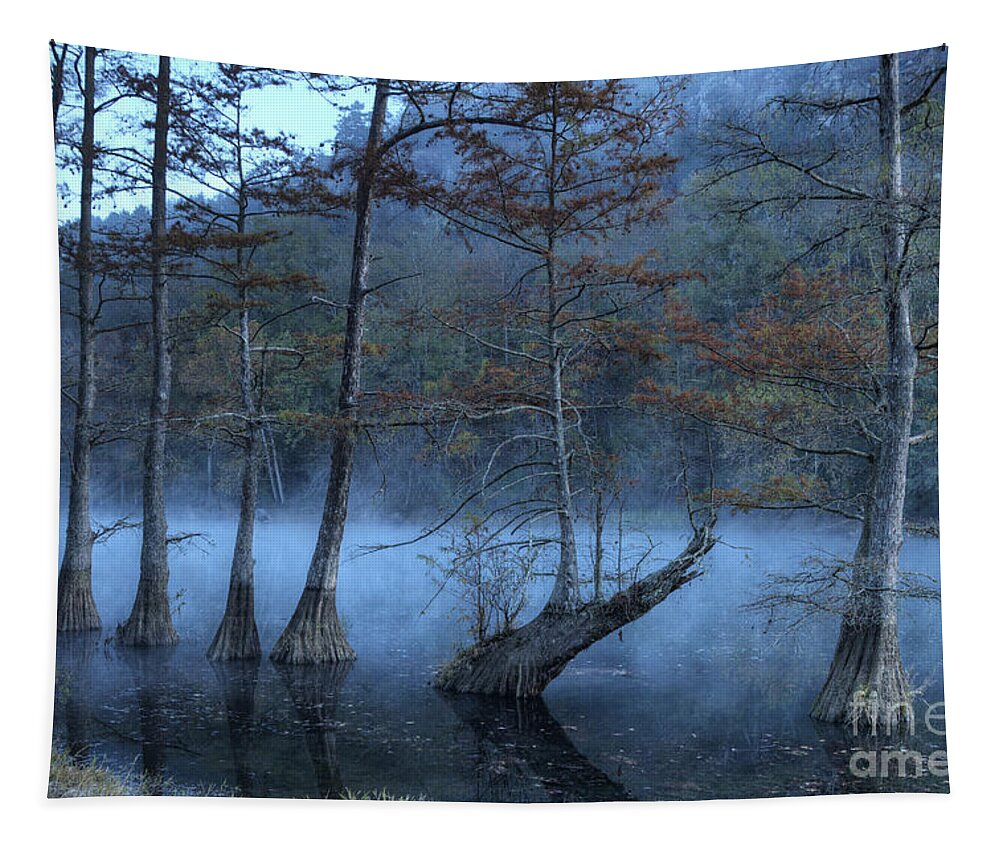 Mist Tapestry featuring the photograph Cypress Awakening by Tamyra Ayles
