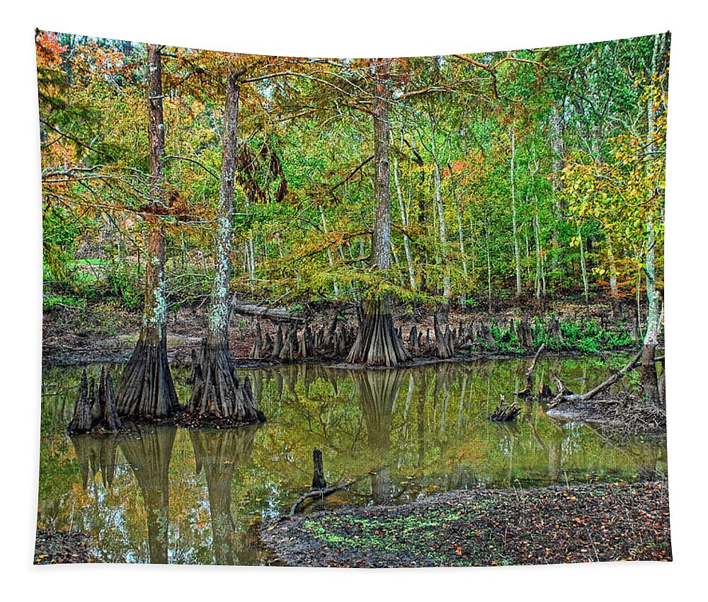 Cypress Tapestry featuring the photograph Cypress In Autimn by Ron Weathers
