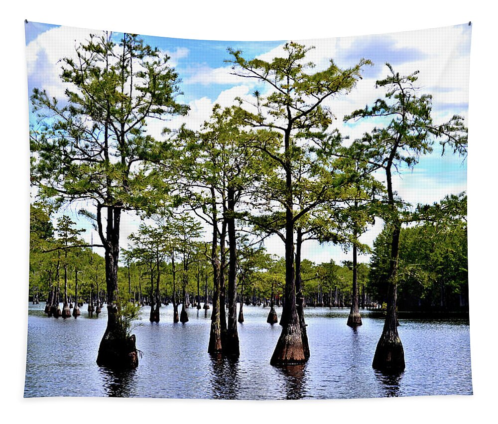 Cypress Trees Tapestry featuring the photograph Cypress Trees of Georgia by Tara Potts