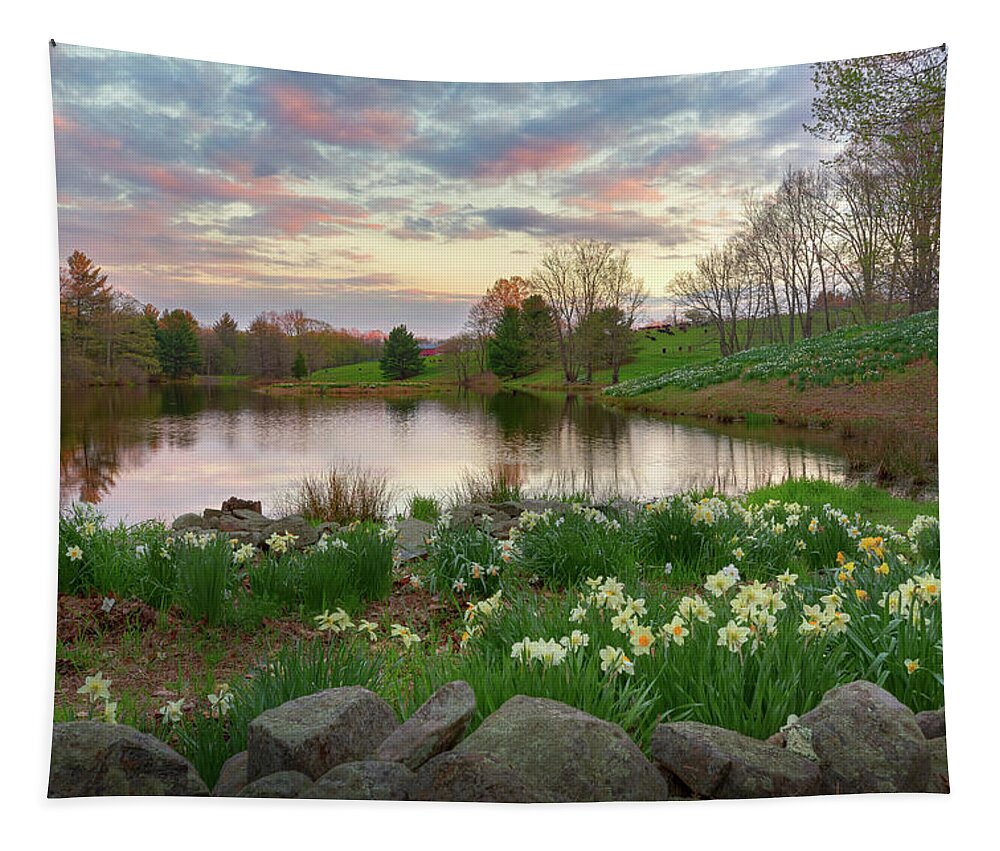 Daffodil Tapestry featuring the photograph Daffodil Hill Sunset by Bill Wakeley