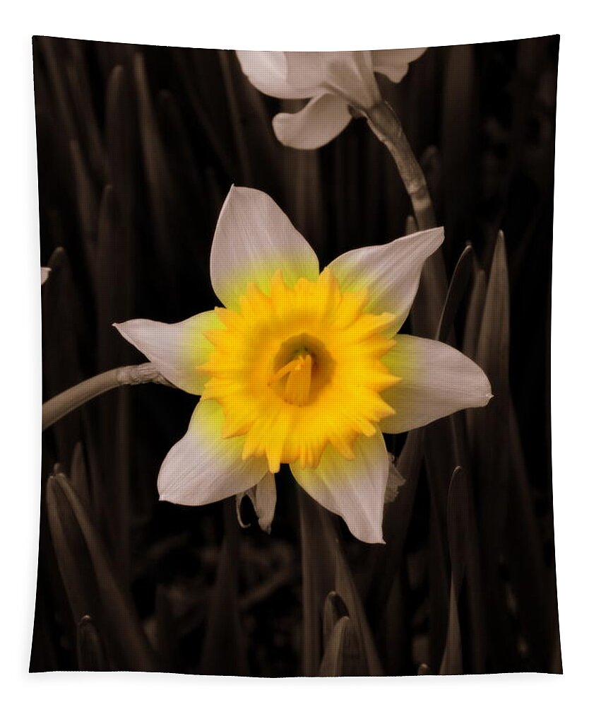 Daffodil Tapestry featuring the photograph Daffodil by Lisa Wooten