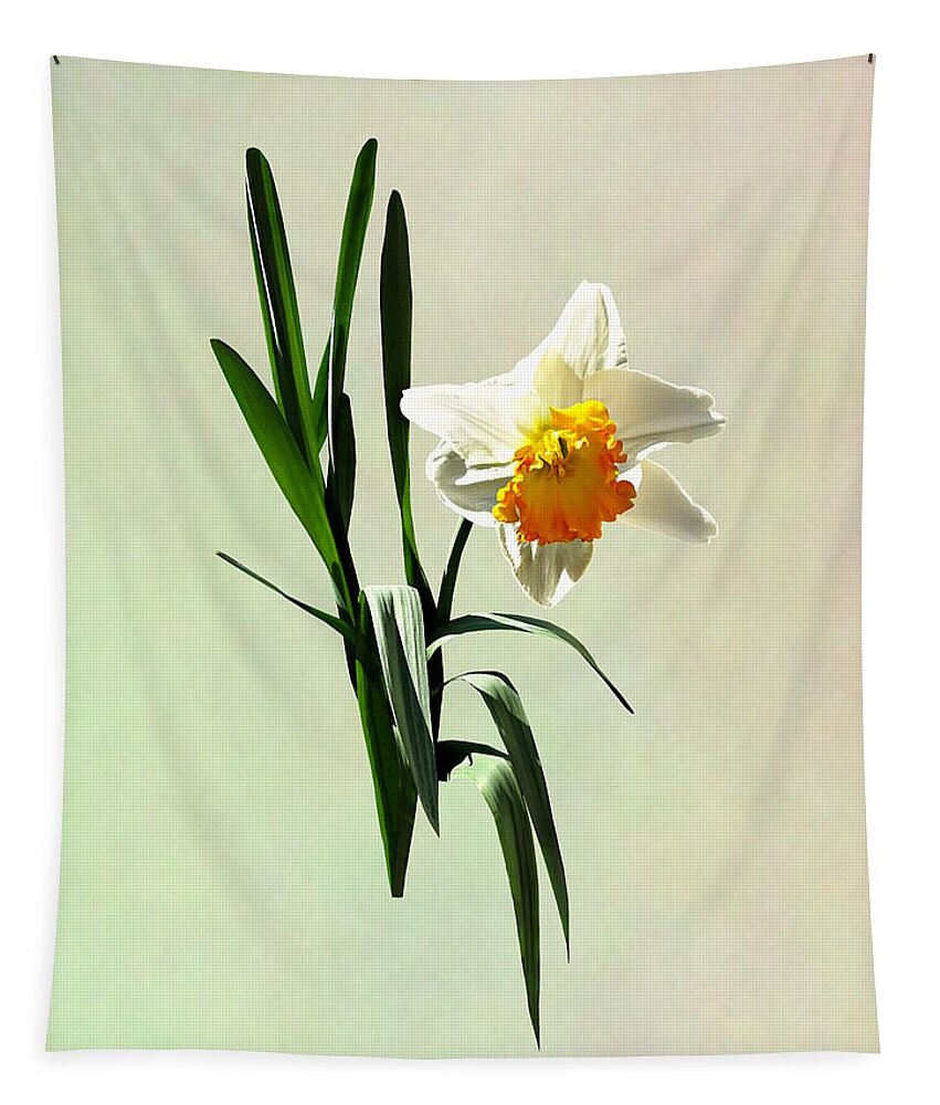 Daffodil Tapestry featuring the photograph Daffodil Taking a Bow by Susan Savad
