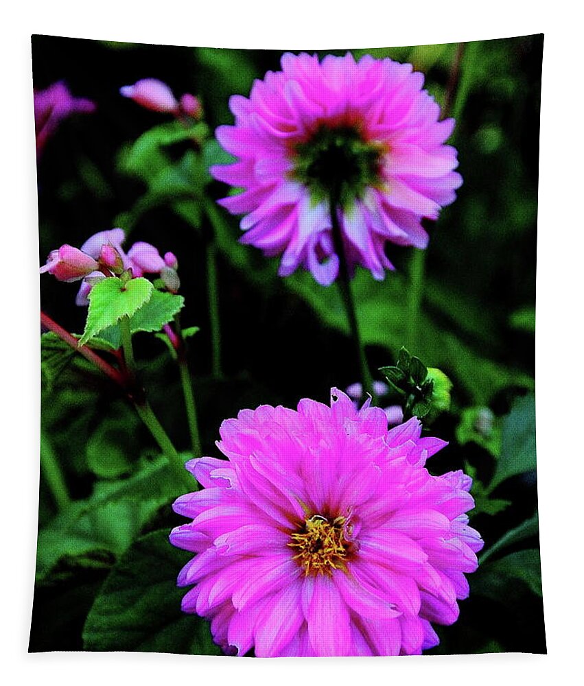 Dahlia Tapestry featuring the photograph Dahlia Mirror by Allen Nice-Webb