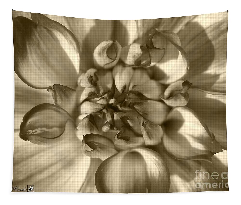 Dahlia Tapestry featuring the photograph Dahlia named Who Dun It by J McCombie