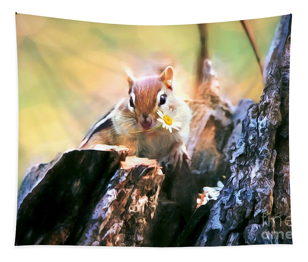 Chipmunk Tapestry featuring the photograph Daisy Girl by Tina LeCour