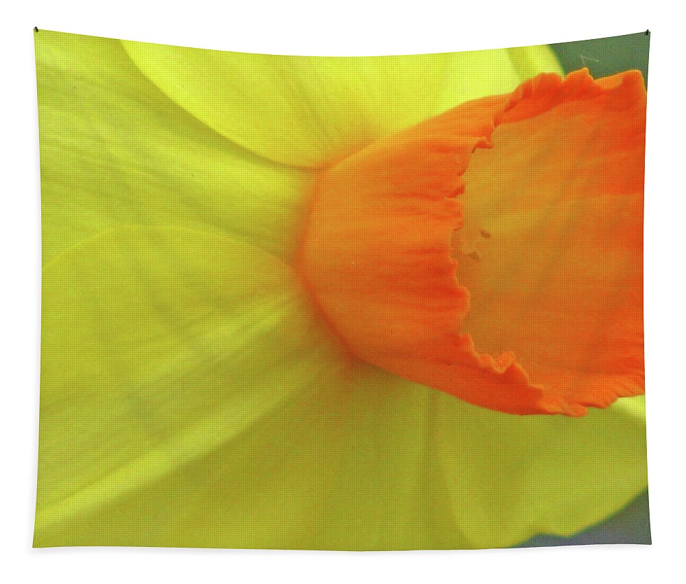 Daffodil Tapestry featuring the photograph Dallas Daffodils 39 by Pamela Critchlow