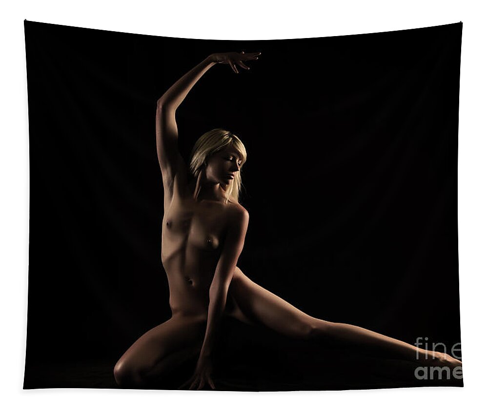 Artistic Photographs Tapestry featuring the photograph Dance in solitary by Robert WK Clark