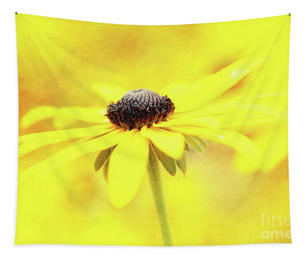 Black-eyed Susan Tapestry featuring the photograph Dance of Joy by Anita Pollak