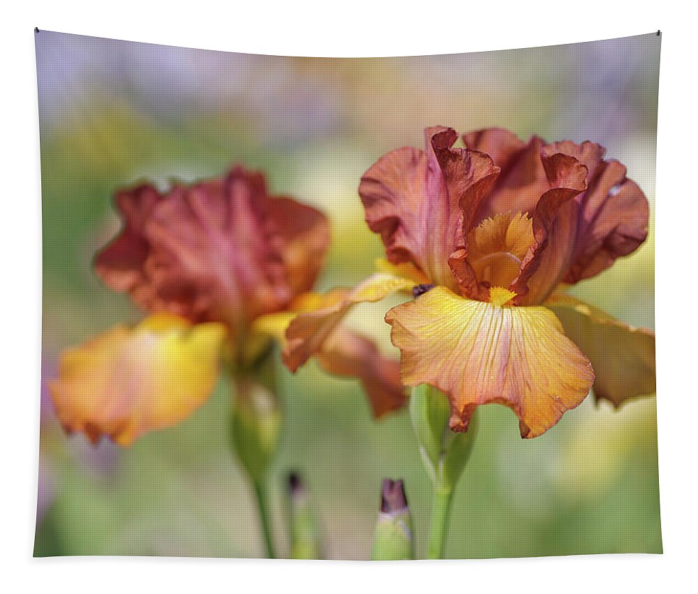 Jenny Rainbow Fine Art Photography Tapestry featuring the photograph Dancing Rill. The Beauty of Irises by Jenny Rainbow