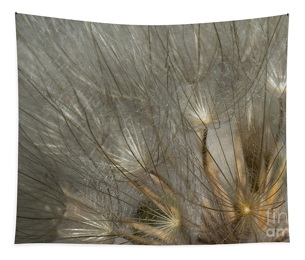 Nature Tapestry featuring the photograph Dandelion 3 by Christy Garavetto