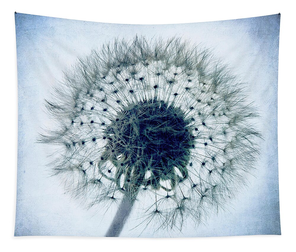 Blue Tapestry featuring the photograph Dandelion in Blue by Tamyra Ayles