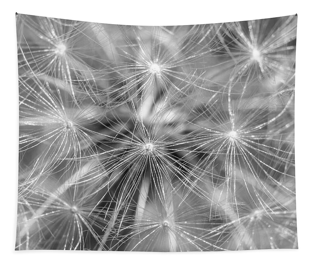 Terry Deluco Tapestry featuring the photograph Dandelion Sparkles Black and White by Terry DeLuco