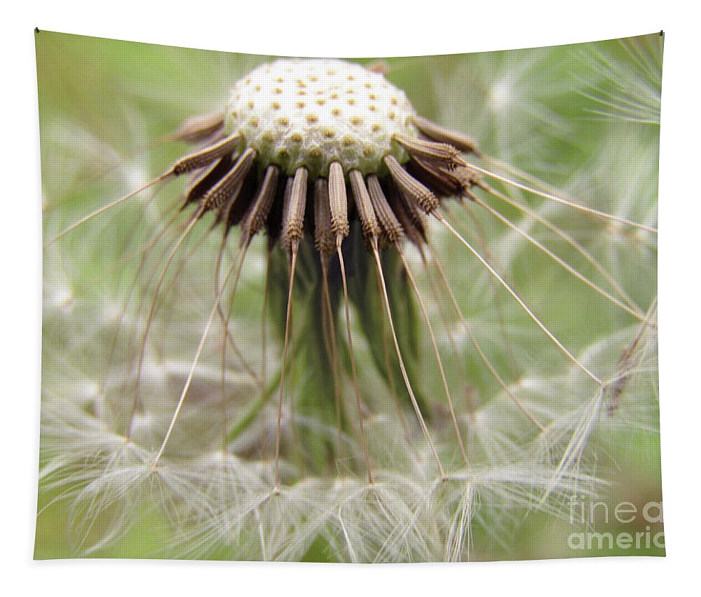 Dandelion Tapestry featuring the photograph Dandelion Wish 8 by Kim Tran