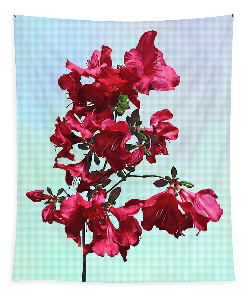 Azaleas Tapestry featuring the photograph Dark Pink Azaleas by Susan Savad