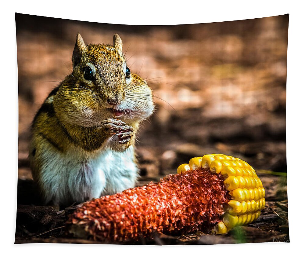 Chipmunk Tapestry featuring the photograph Darn Good Corn by Bob Orsillo