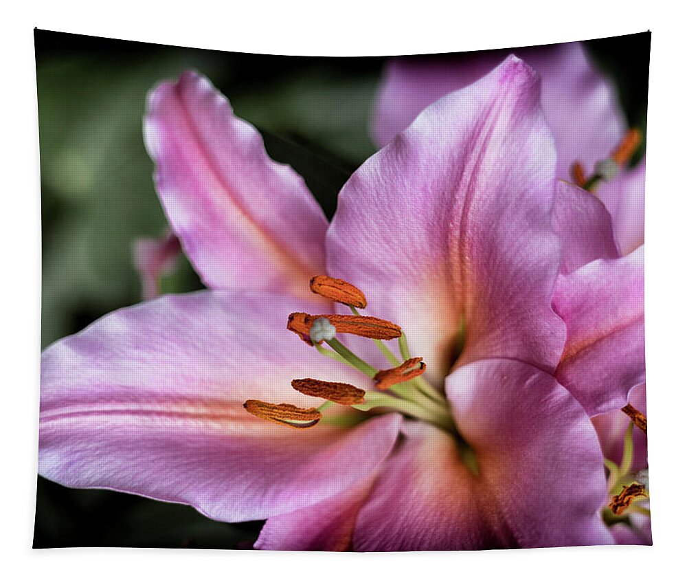 Flower Tapestry featuring the photograph Day Lily by Scott Wyatt