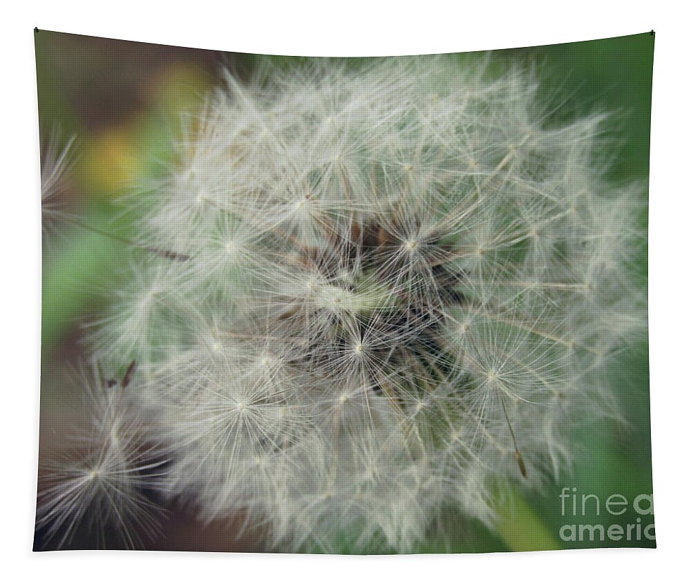 Dandelion Tapestry featuring the photograph Day Moon by Kim Tran