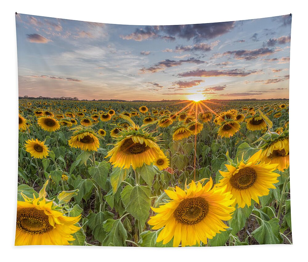 Flowers Tapestry featuring the photograph Day's End by Paul Schultz